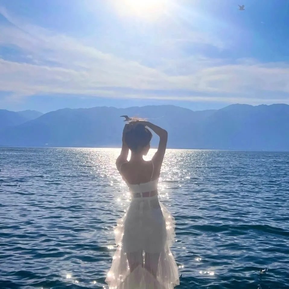 威尔与哈珀:老友公路游